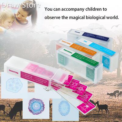 35Pcs Microscope Specimen Slides Specimens Biological Primar