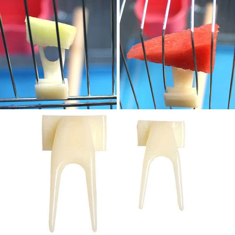 Birds Parrots Fruit 适用于k Pet Supplies Plastic Food Holder