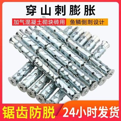 国标穿山刺膨胀螺丝空心砖泡沫砖
