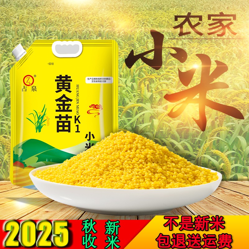 占泉2025年东北朝阳黄小米金苗K1小米5斤装