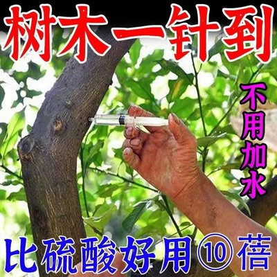 灭树粉烂根粉剂强力除树烂根灭树根的专用药烂树根药特效专用针剂