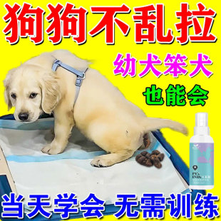 狗狗定点上厕所神器防狗乱尿大小便排便诱导剂引导宠物上厕所神器