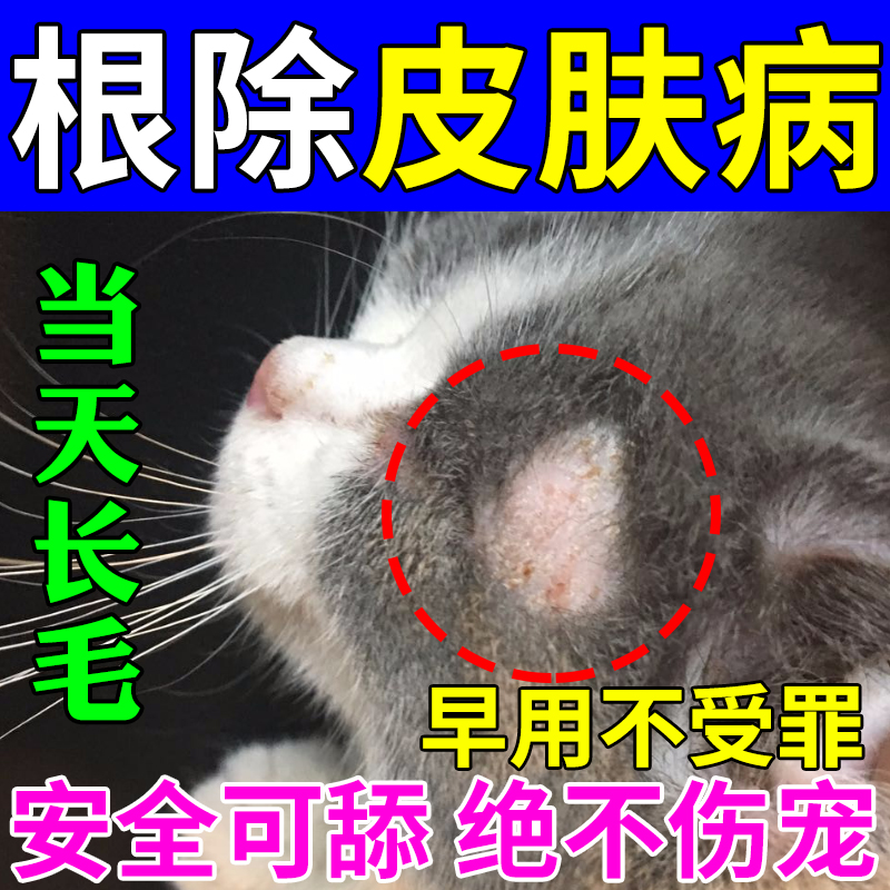 猫藓猫癣专用特效药治疗幼猫脸头上掉毛秃毛脓皮真菌感染外用喷剂-封面