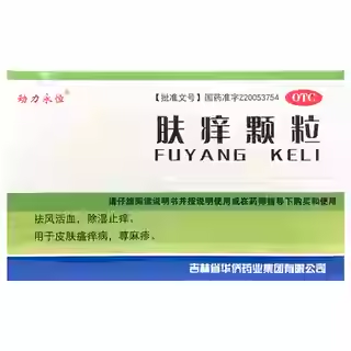 动力永恒 肤痒颗粒 9g*15袋/盒除湿止痒皮肤瘙痒病荨麻疹祛风活血