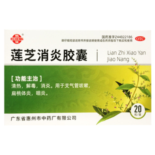 鹅城 莲芝消炎胶囊 20粒/盒清热解毒消炎支气管咳嗽扁桃体炎咽炎
