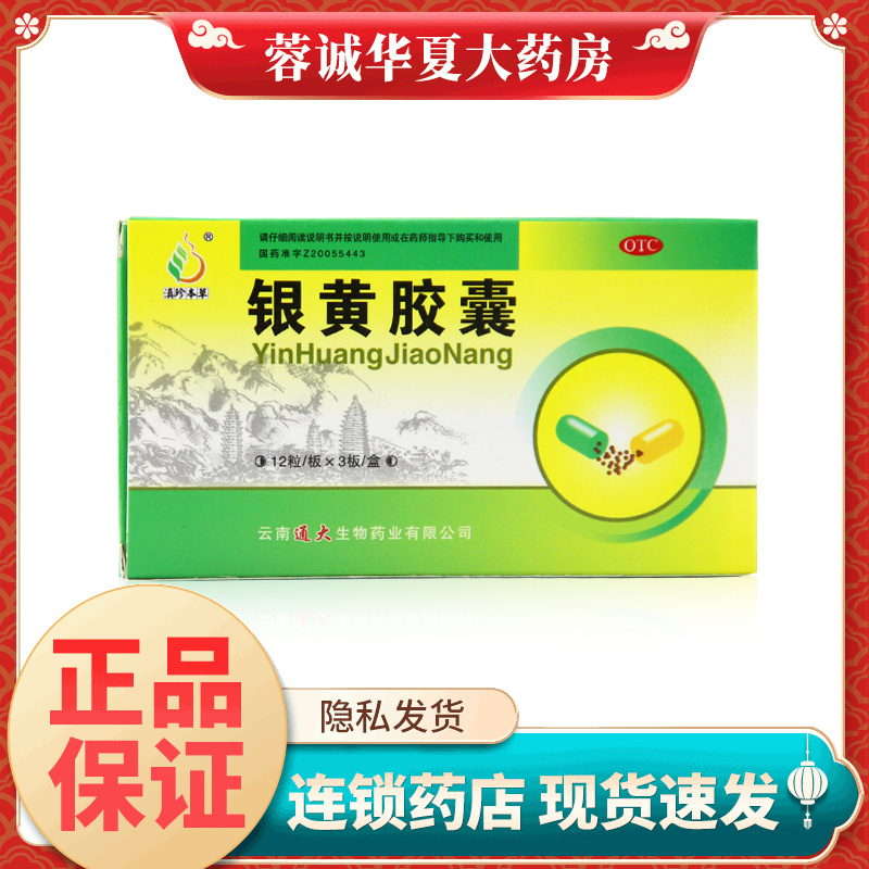 滇珍本草 银黄胶囊 0.3g*36粒清热解毒急慢性扁桃体炎咽喉炎正品