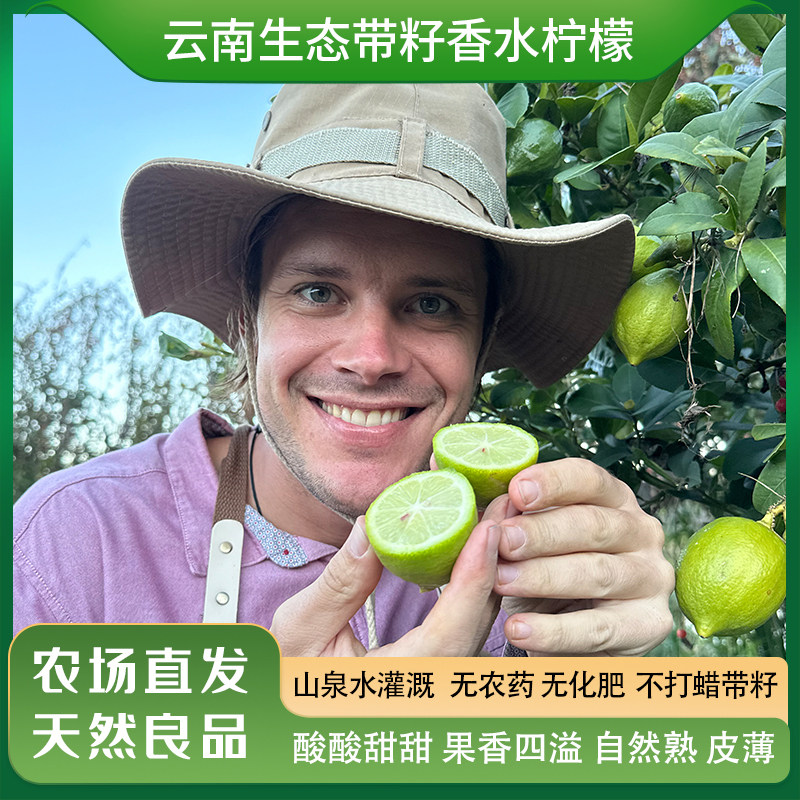 云南生态香水柠檬带籽树上自然熟无农残有机方式种植泡水现摘超香