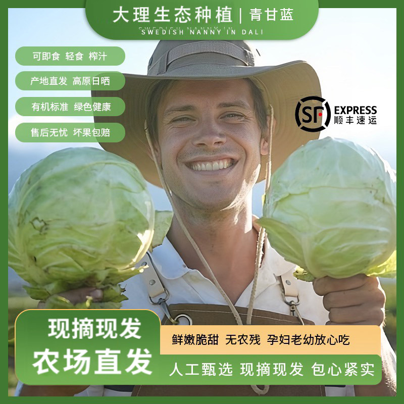 大理生态种植青甘蓝无农药包菜有机蔬菜轻食榨汁生吃沙拉凉拌顺丰