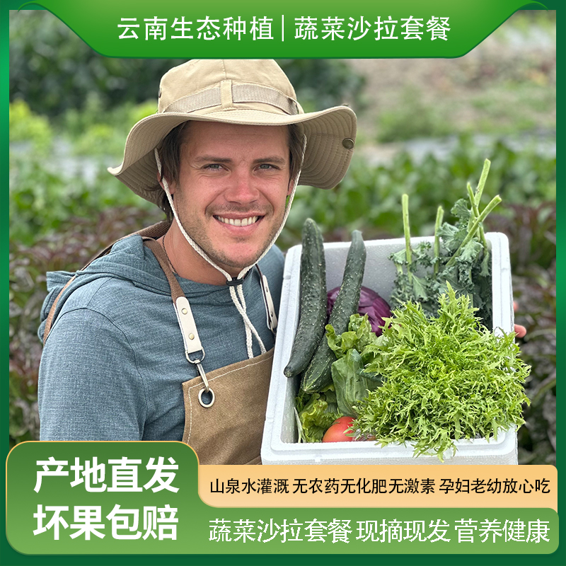 云南有机种植蔬菜沙拉食材新鲜菜