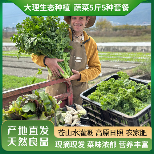 大理生态蔬菜套餐5斤5种自选顺丰