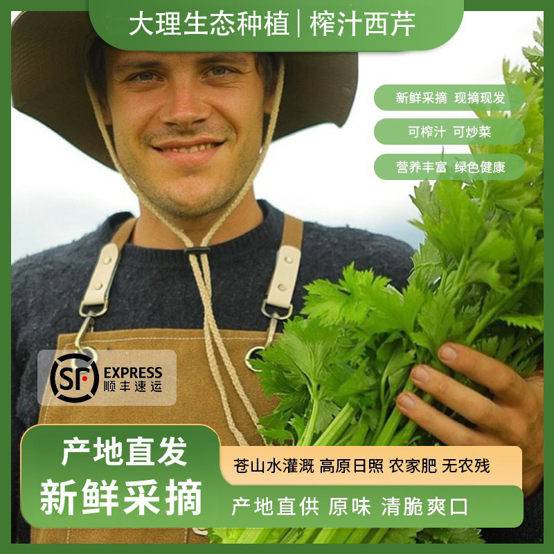云南露天有机种植西芹榨汁生吃沙拉安疗榨汁蔬菜新鲜大理发货顺丰,水产肉类/新鲜蔬果/熟食,叶菜类,淘宝优惠券,粉丝福利购,淘宝优惠卷