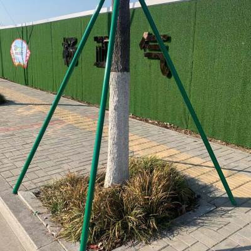 园林树木支撑架行道树木防风支撑杆大树支撑固定器苗木支架铁抱箍