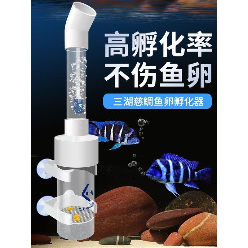 鱼卵孵化器 三湖鱼慈鲷孵化器异形 底栖鱼孵化桶热带鱼观赏鱼繁殖