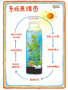 班主任初中生物生态瓶diy材料自循环微景观手提塑料观赏鱼虾