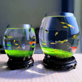 生态瓶免打理diy微景观玻璃鱼缸小型水草种子籽植物真草造景装 饰