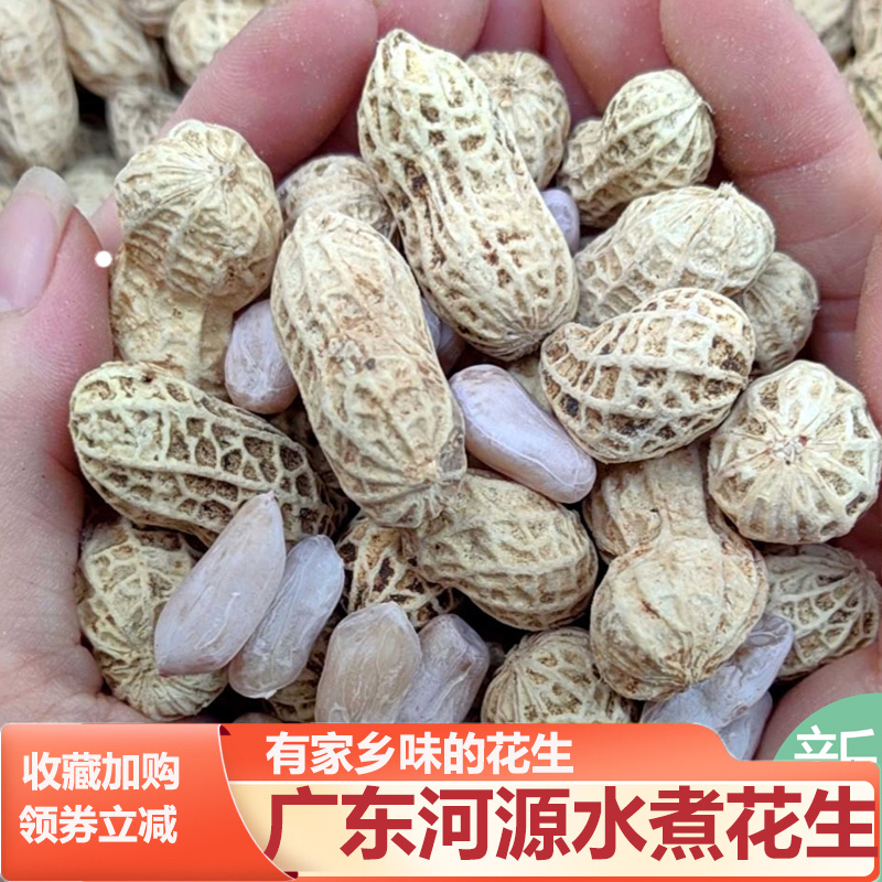 广东客家特产河源忠信农家水煮花生晒干 干花生咸干 干白肉花生河