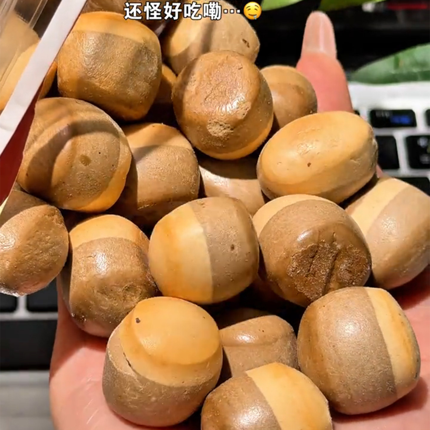 日式水泡饼农夫山庄Selfless雷霆大蛋水泡饼干早餐泡牛奶木头饼干