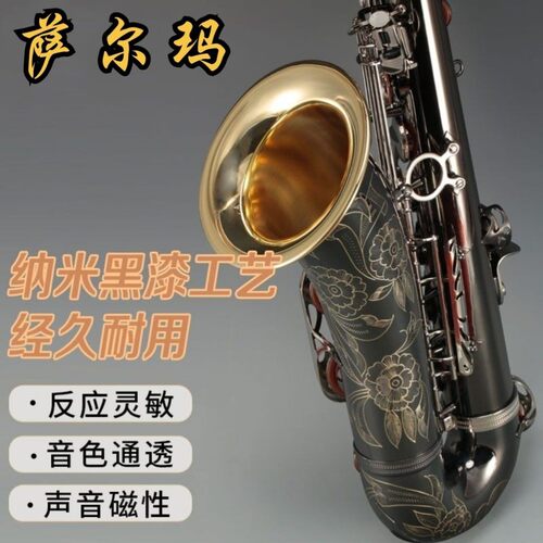 法国塞尔玛Selmer803次中