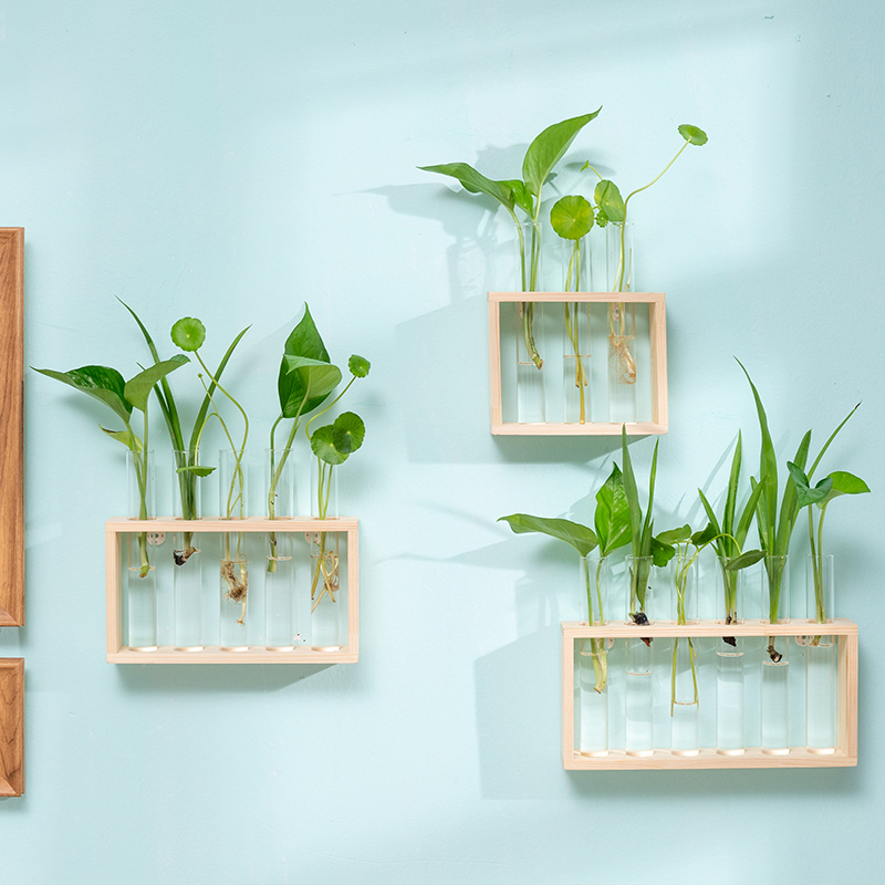 创意水培花瓶玻璃试管绿植插花植物桌面木架摆件墙壁装饰挂墙花瓶
