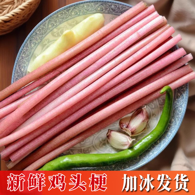 鸡头梗新鲜湖北特产农家应季蔬菜