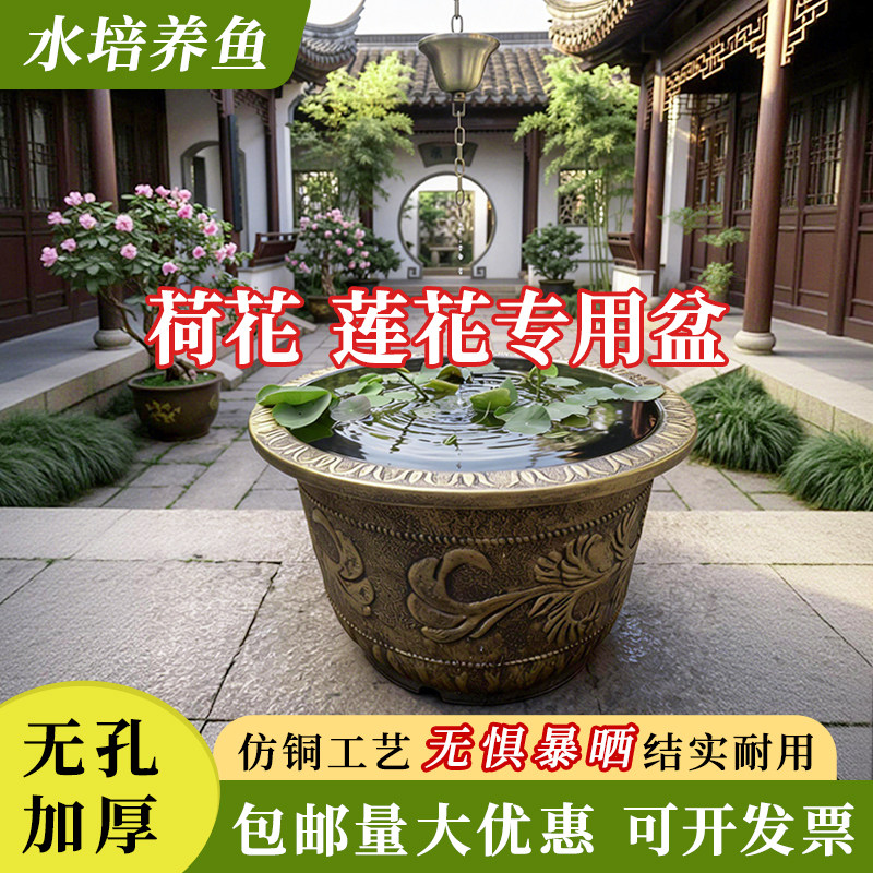 水培养鱼睡莲荷花碗莲盆特大号塑料加厚圆形花盆缸庭院种果树铁树