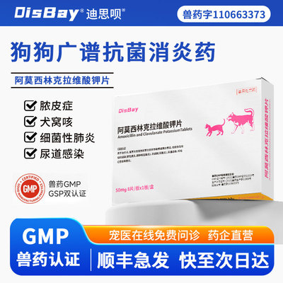阿莫西林克拉维犬窝咳消炎片