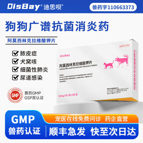 阿莫西林克拉维犬窝咳消炎片