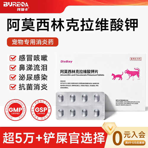 阿莫西林克拉维酸钾片宠物消炎药
