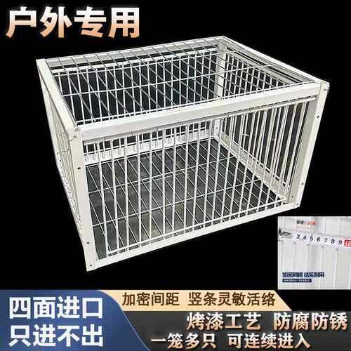 撞门笼天落笼只进不出
