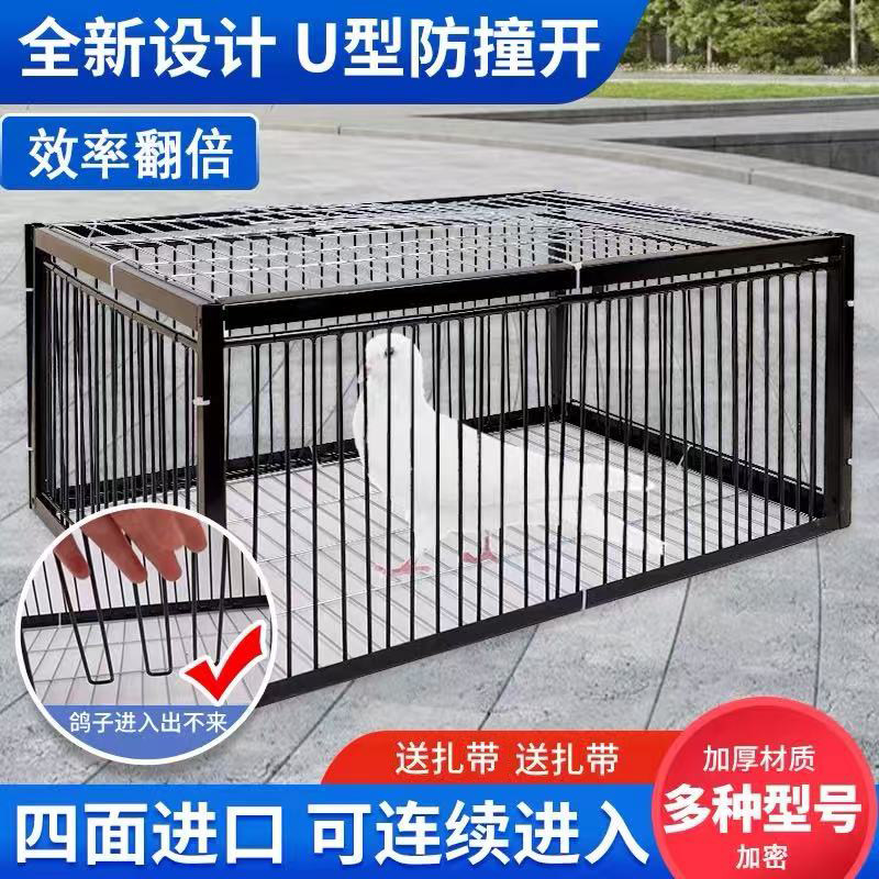 全自动收鸽子笼抓鸽子天落笼防锈图片