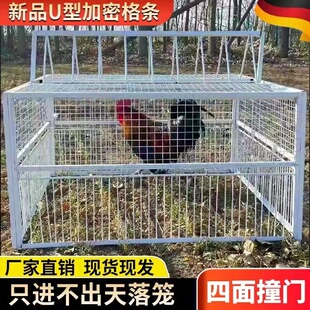 鸽子捕捉器加密收鸽笼鸽子神器户外撞门笼只进不出网笼全自动防锈
