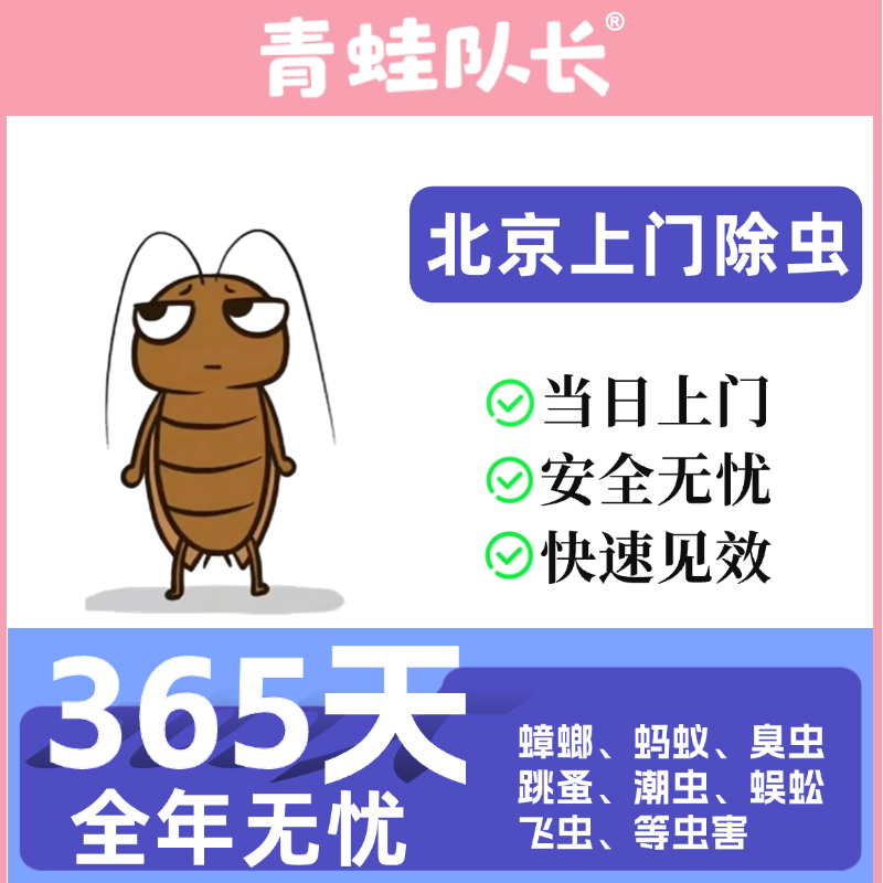 北京杀虫公司专业上门灭蟑螂除虫消杀除蚂蚁跳蚤臭虫家庭灭虫服务