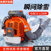 德国进口博士进口背负式 风力森林灭火器吹雪机大功率工业用落叶道