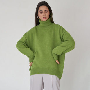Versatile loose fitting turtleneck top百搭宽松套头高领上衣女