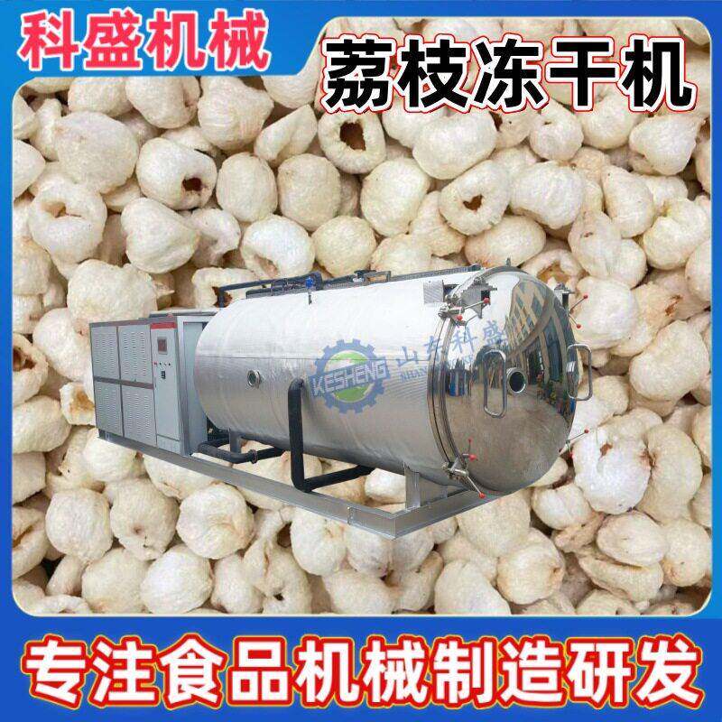 人参冻干机 全自动荔枝龙眼真空冻干机 鸡肉粒鸭胸肉冷冻干燥机