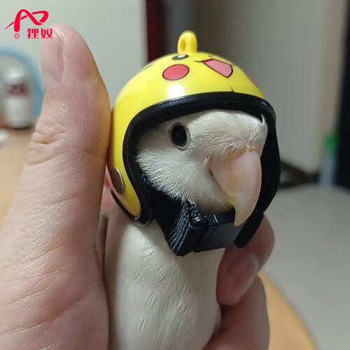 【微瑕疵不影响使用】鸡鸭鹅鹦鹉檬狐机车帽子玩具小宠头盔安全帽