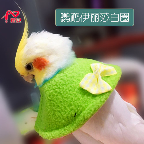 狸奴宠物鸟防咬防啄伊丽莎白脖圈