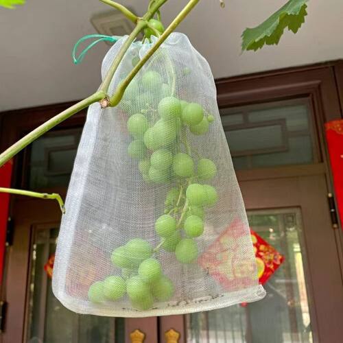 尼龙水果防虫网袋保护每