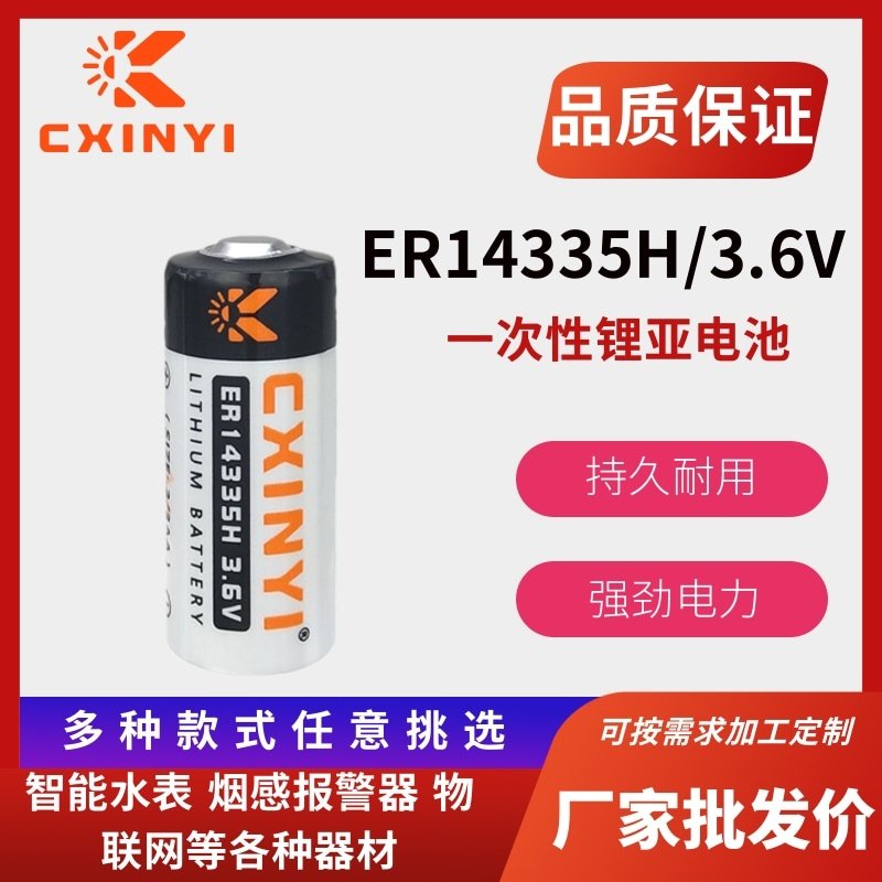 烟雾报警器硫化氢检测仪3.6v电池