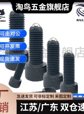 内六角球头柱塞BPRL4/5/6/8/10/12/16-10/15/20/30/ZC108-1