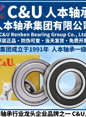 人本6203轴承6204高速6205电机6206正品6201 6202 6004 6305 6306