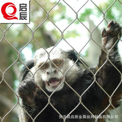 爆品动物笼舍网装饰钢丝绳网不锈钢绳网O防坠网柔性卡扣钢丝绳品