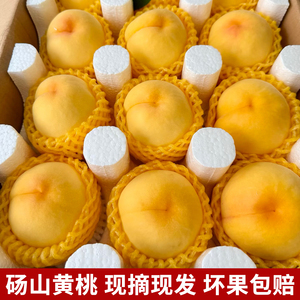 黄桃安徽砀山正宗新鲜水果桃子超甜高水分