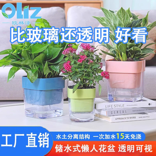 懒人自吸水花盆家用简约透明塑料四方形高级感水培虎皮兰绿萝花盆