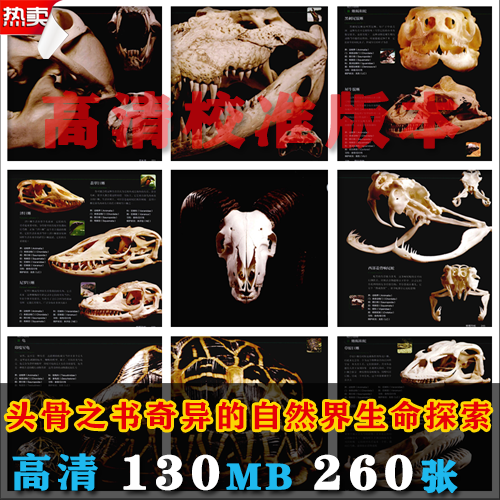 M29头骨之书奇异的自然界生命探索 生物收藏高清图集原画插画