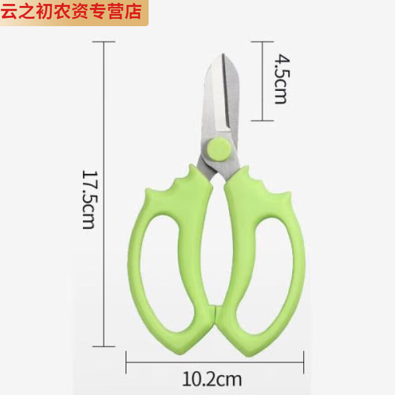 2022新款盆景修剪造型专用工具叶芽剪不锈钢兰花分苗剪刀修芽剪修