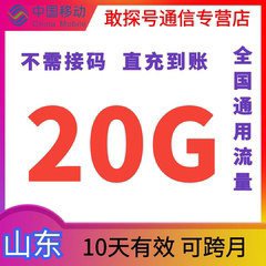 山东移动流量充值20GB流量包全国通用流量叠加包 10天有效 可跨月