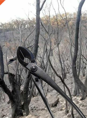 Clippers Root Tree Garden Tools Bonsai High Hardness Mangane