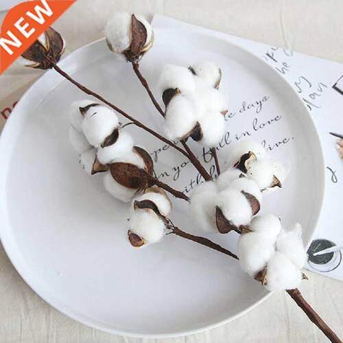 Naturally Dried Cotton Flowers Artificial Plants Floral
