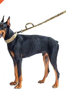 Nylon Pet Leash Big Dog Collar Outdoor Large Dogs Traction